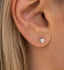 Pearl Studs | Silver