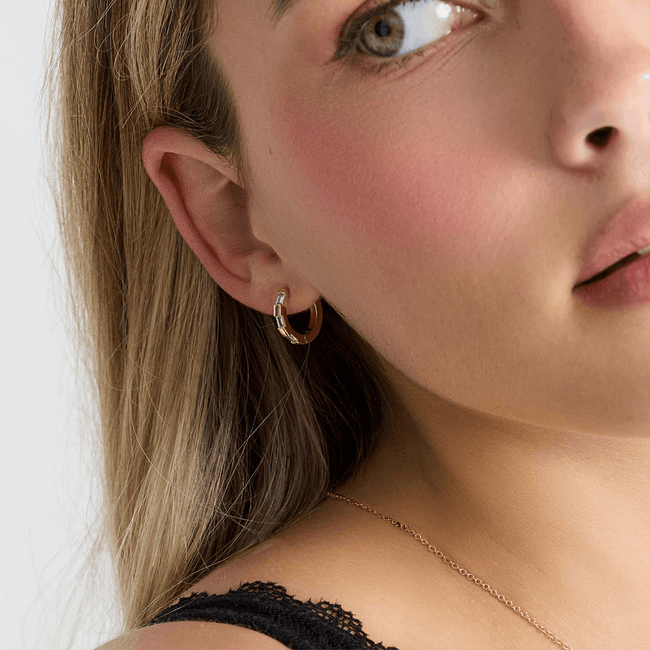 Prism Earrings Main Image