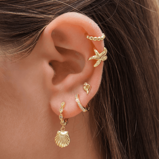 Conch Earrings Main Image