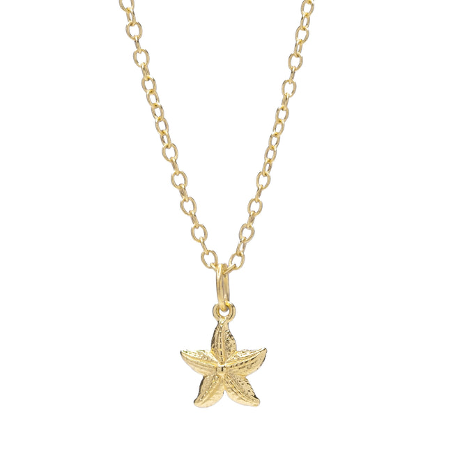 Coastal Star Necklace Main Image