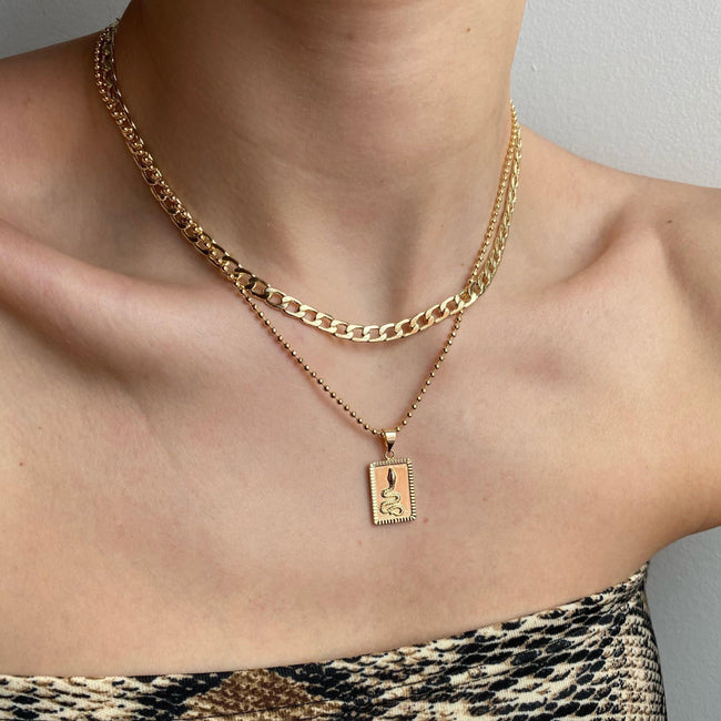Cobra Necklace Main Image