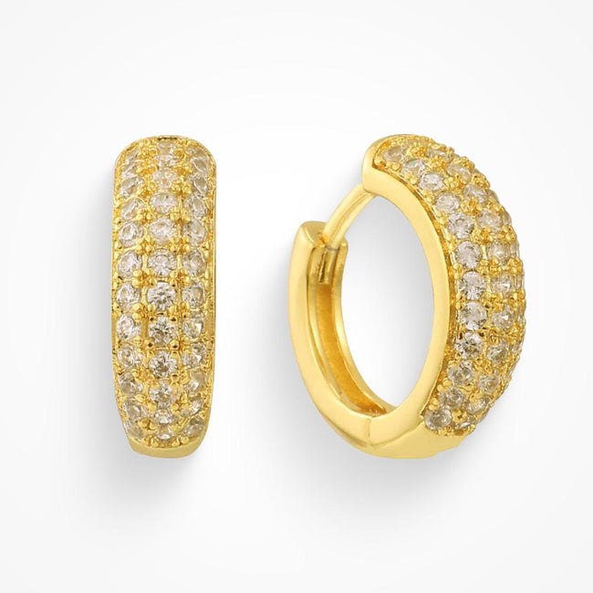 Dollar Bill Earrings Hover Image
