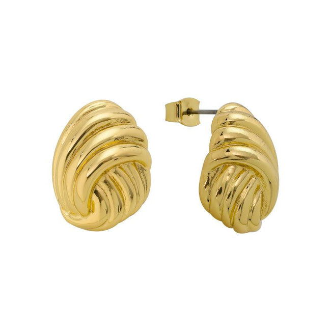 Entangled Earrings Hover Image