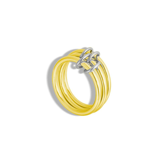 Forever Linked Ring Main Image