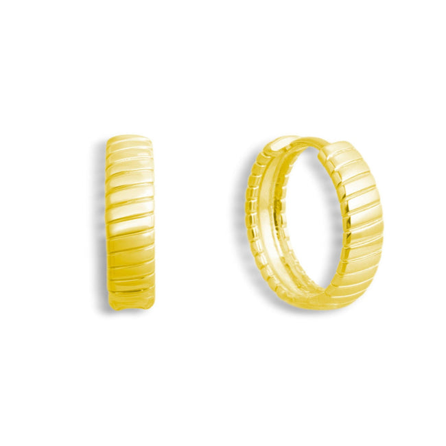 Golden Hoop Earrings Main Image