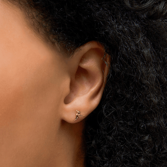 Hummingbird Earrings Main Image