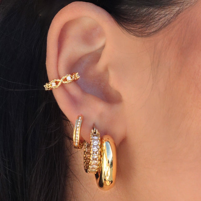 Flashy Earrings Main Image