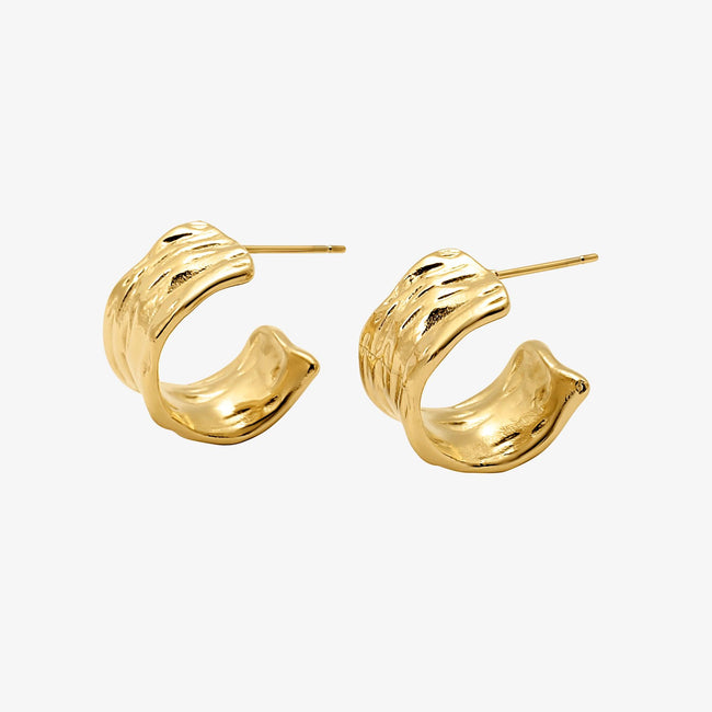 Liquid Shine Earrings Main Image