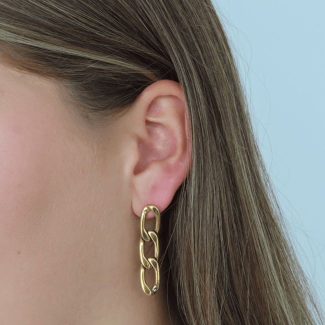 Money Earrings Main Image