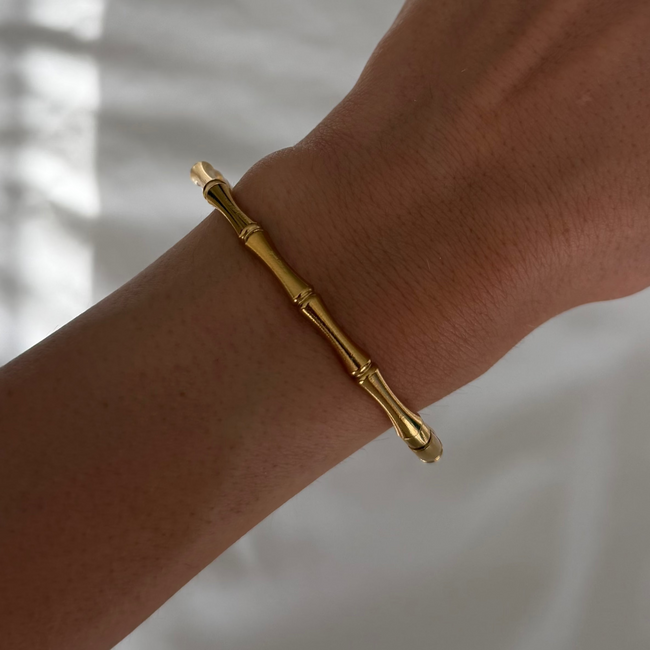 Palm Springs Bangle Main Image