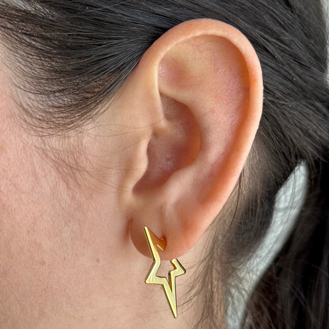 Popstar Earrings Main Image