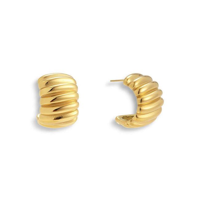 Rich Behavior Earrings Main Image