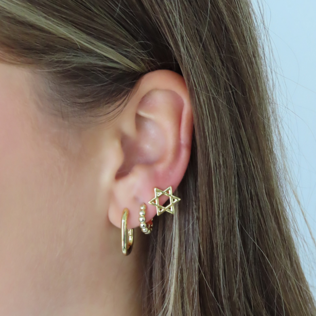 Star of David Earrings Main Image
