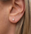 Willa Studs