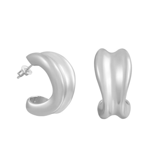 Sculpted Earrings Main Image
