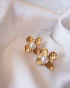 Oyster Earrings