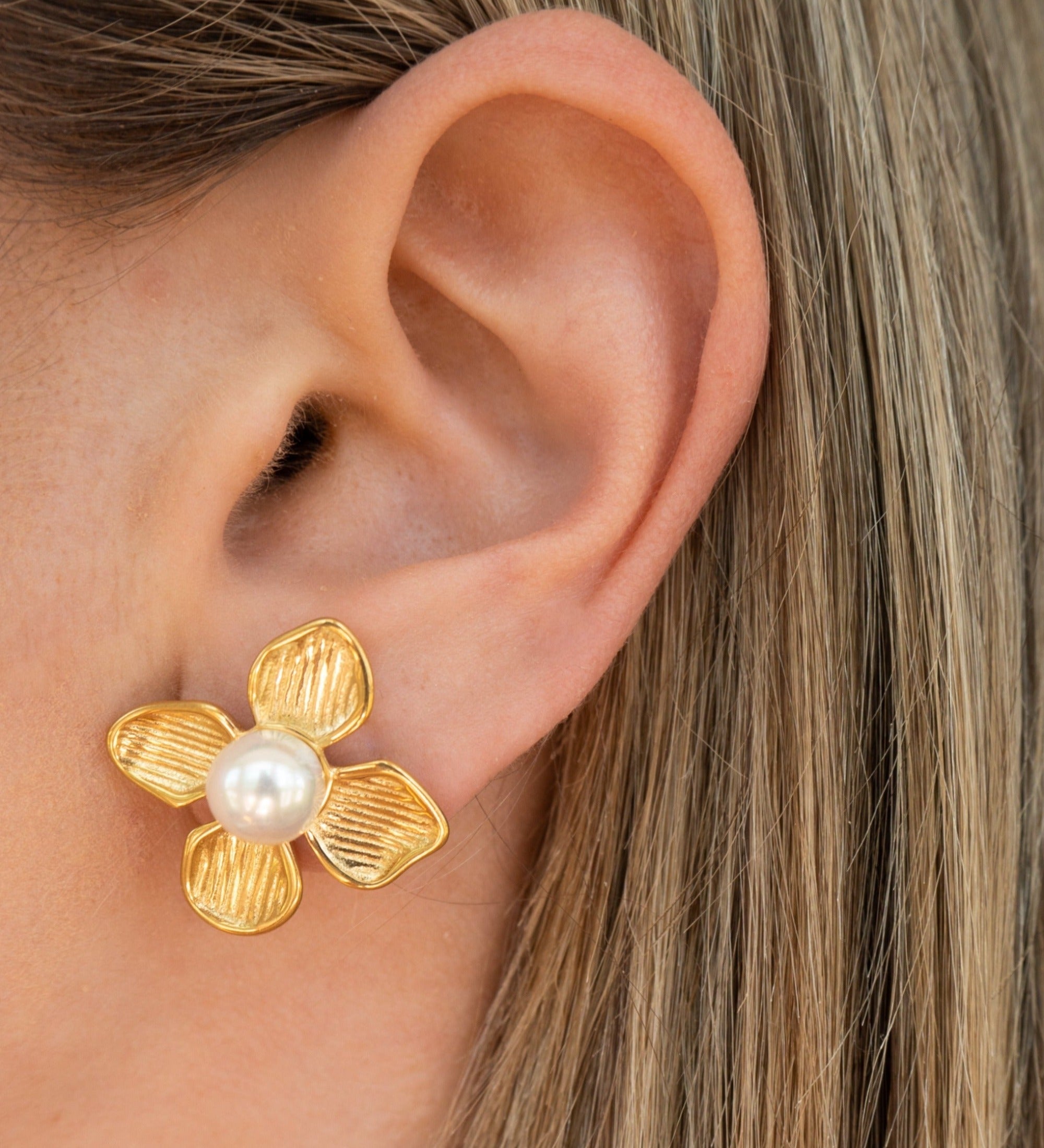 Oyster Earrings
