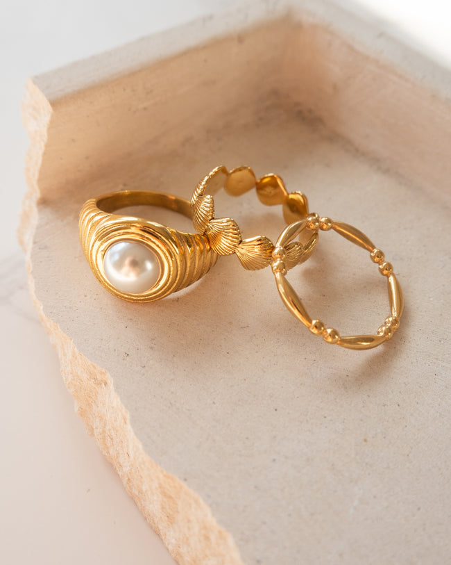 Shell Ring Main Image