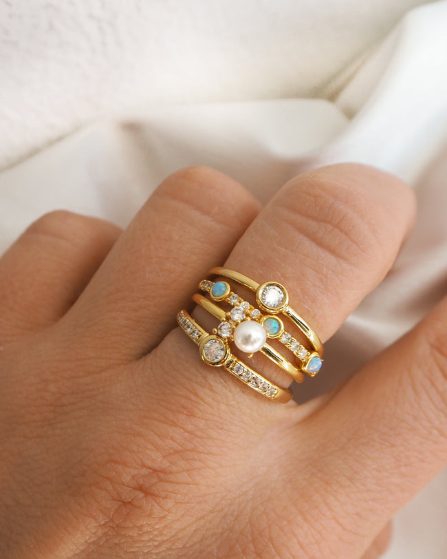 Dana Ring Main Image