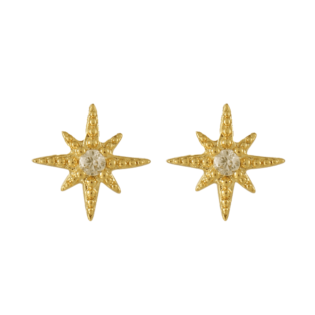 Radiant Star Earrings Hover Image