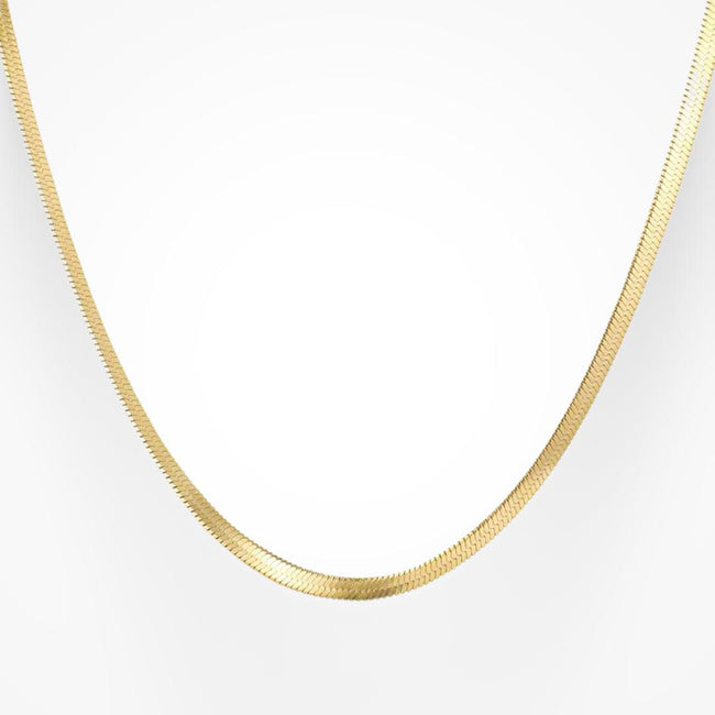 Shining Snake Necklace Main Image